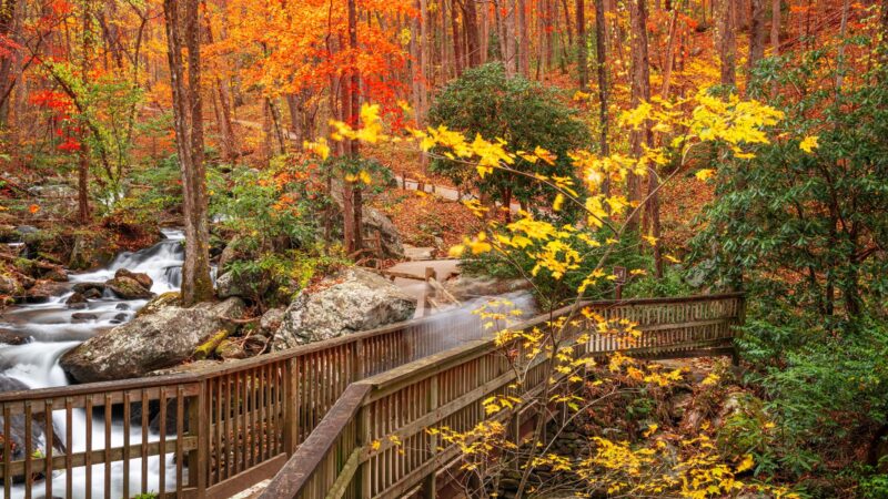 Anna Ruby Falls