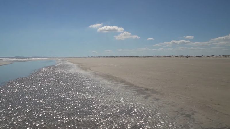 Cumberland Island National Seashore