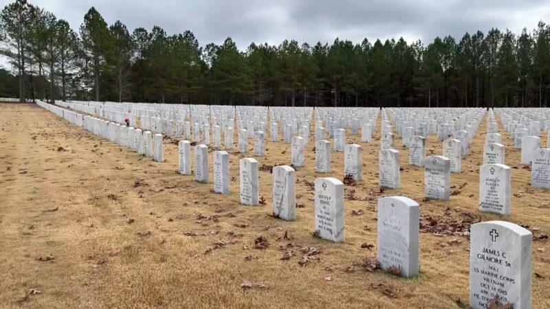Georgia National Cemetery