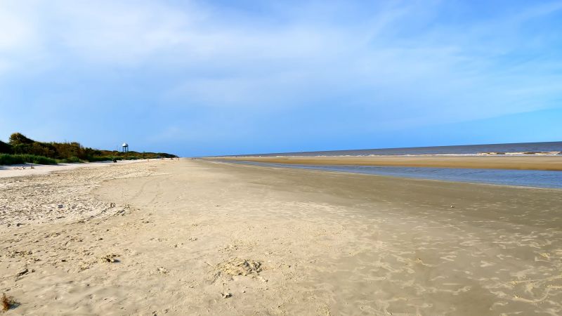 Nanny Goat Beach, Sapelo Island