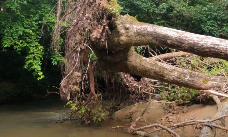 Mining Tunnel on the Etowah River status