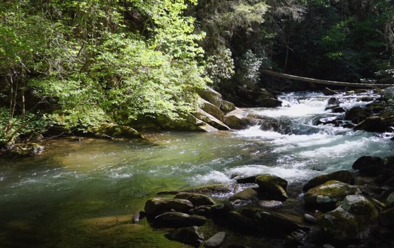 Fishing the Lower Etowah River season