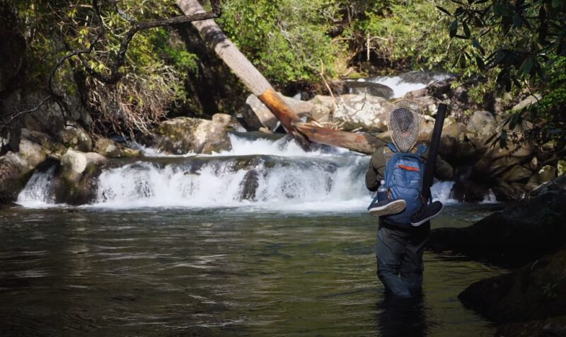 Fishing the Lower Etowah River species