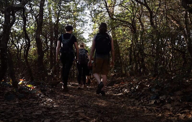 Hiking the Trails